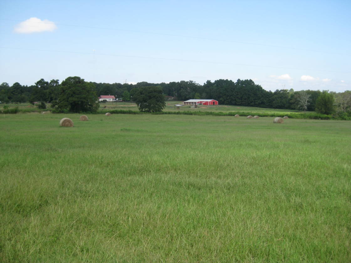 48.96 acre Horse Farm in Nacogdoches County Nacogdoches, Nacogdoches County, Texas