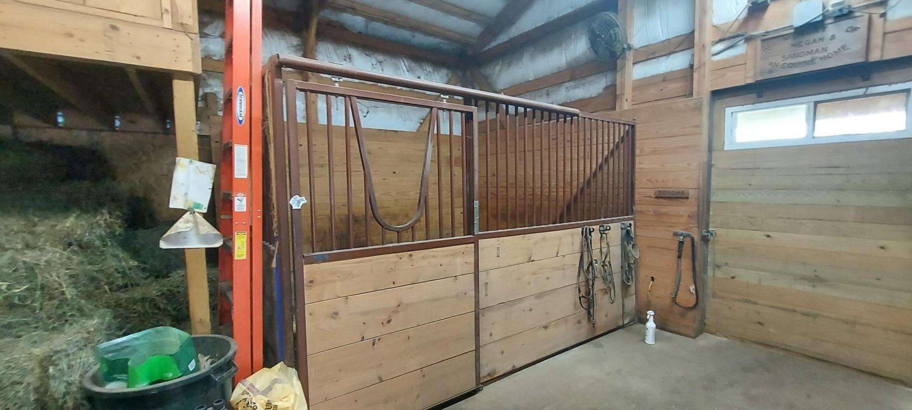 Horse Property with Home, Barn, Arena & Pasture - photo 22