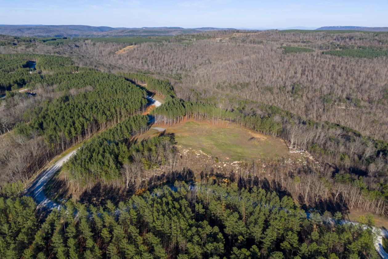 Incredible views and no state income tax! - photo 11