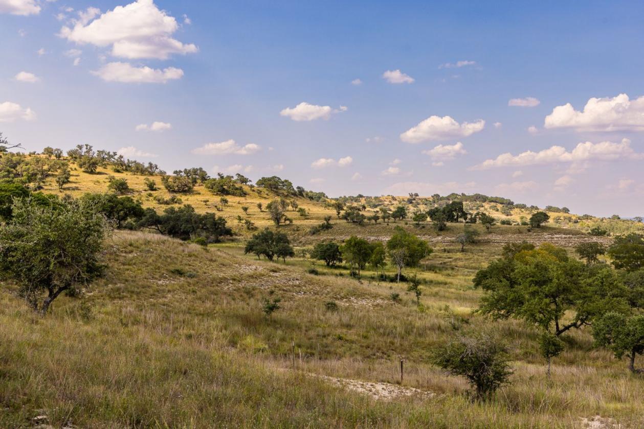 Grand View Ranch - photo 8
