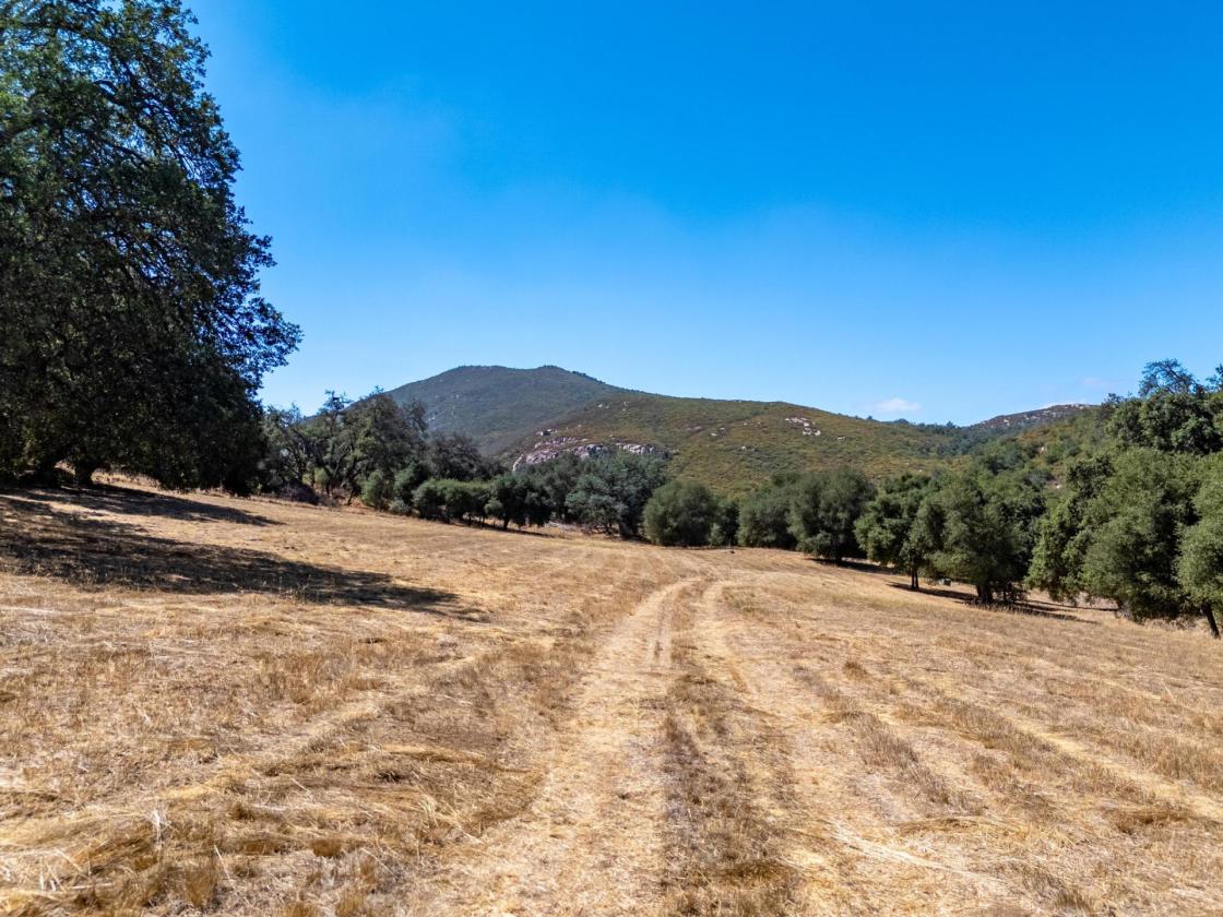 Meadow Ranch - photo 11