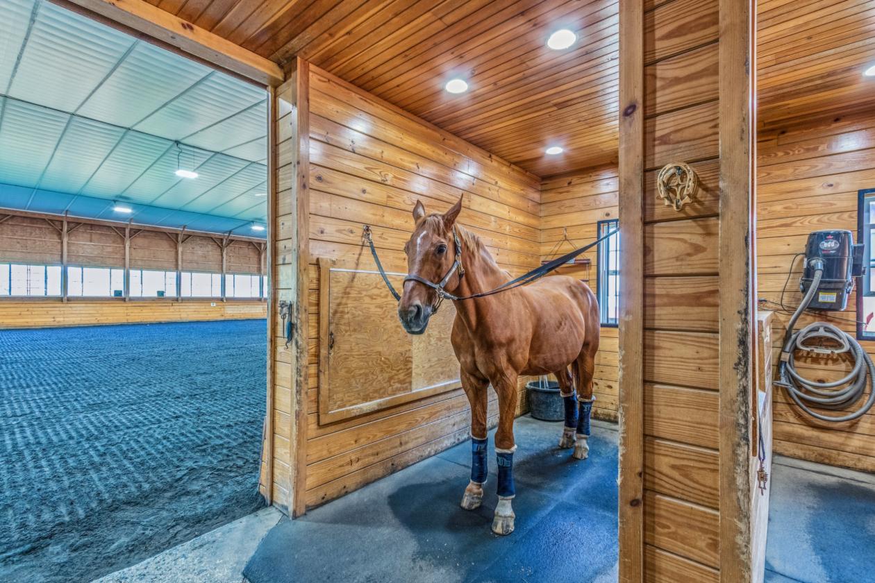 Equestrian Farm w/ 2 Homes & Caretaker Quarters - photo 5