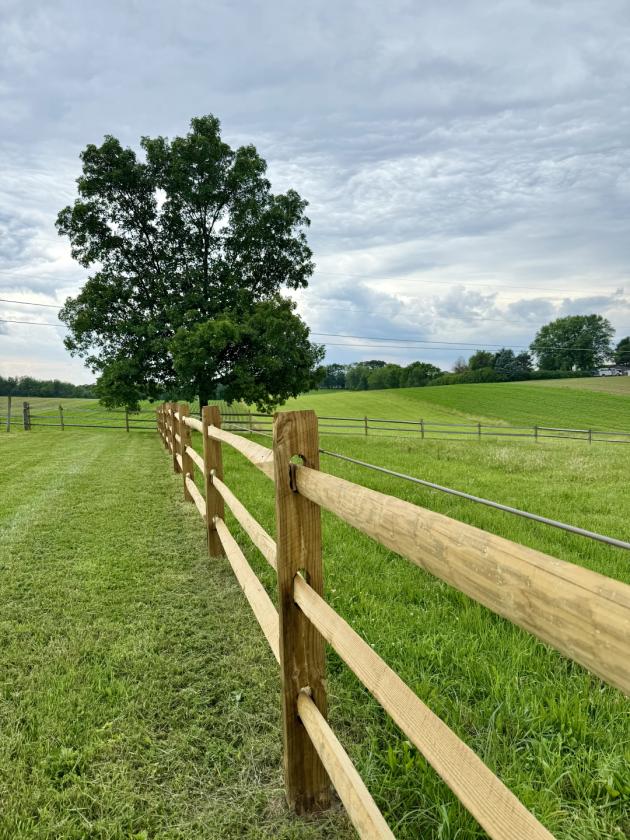37-Acre 32 Stall Equestrian Estate w/ INDOOR - photo 15