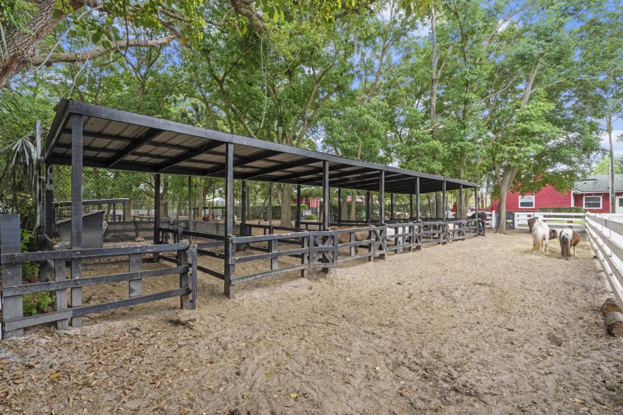 21.75 Acres in Central Florida Horse Country - photo 18