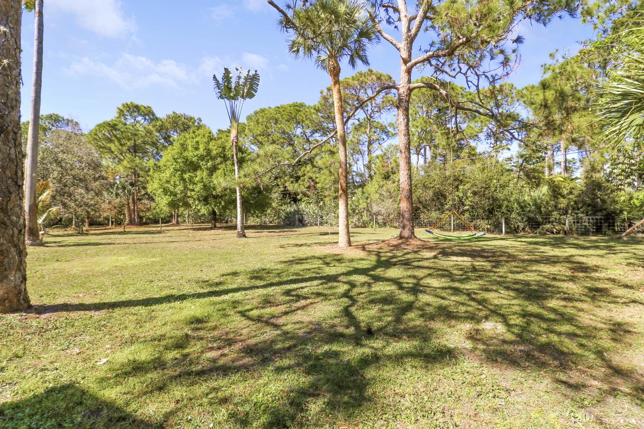 Hidden gem—bring your horse home today - photo 13