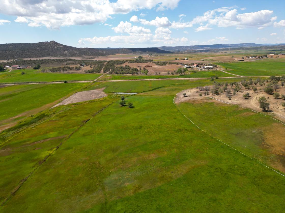 Picturesque 80-acre ranch! - photo 5