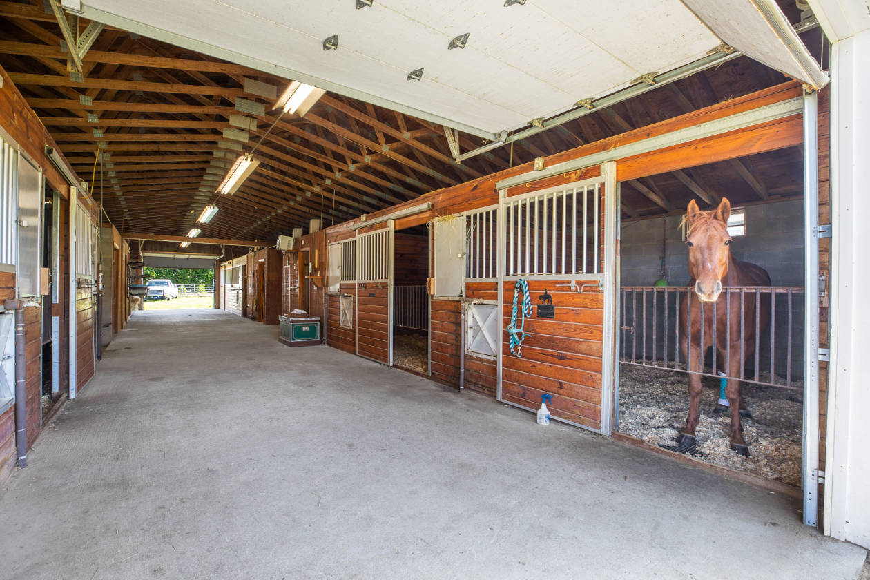 Complete Turnkey Horse Farm 20 Acres With Equipment Welcome To Reidsville Rockingham County North Carolina Horseproperties Net