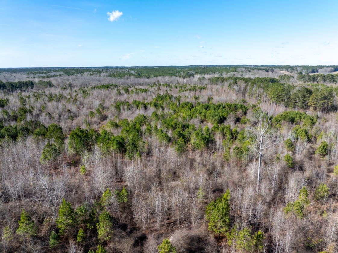 211 Acres- Luxury Estate & Equestrian Development - photo 19