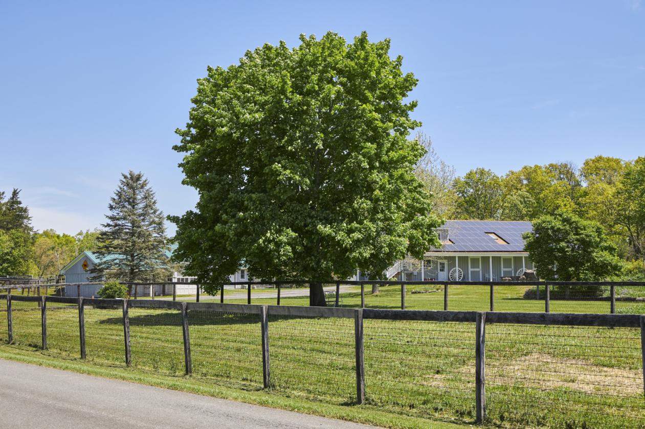 WhistleWood Farm - photo 19