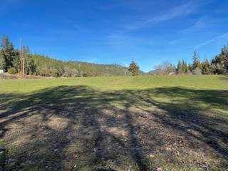 Horse Property for sale.