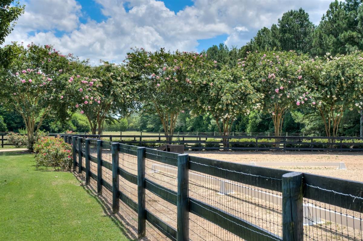 Horse property for riding and carriage driving in beautiful Hopeland