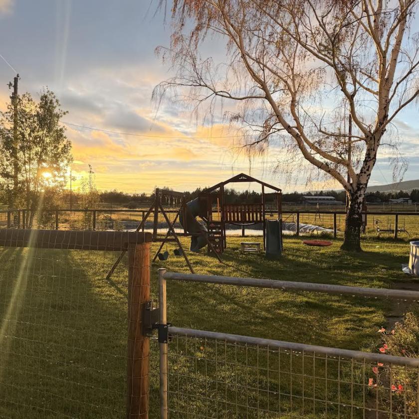 29 Acres | 24.34 Irrigated | Horse-Ready - photo 21