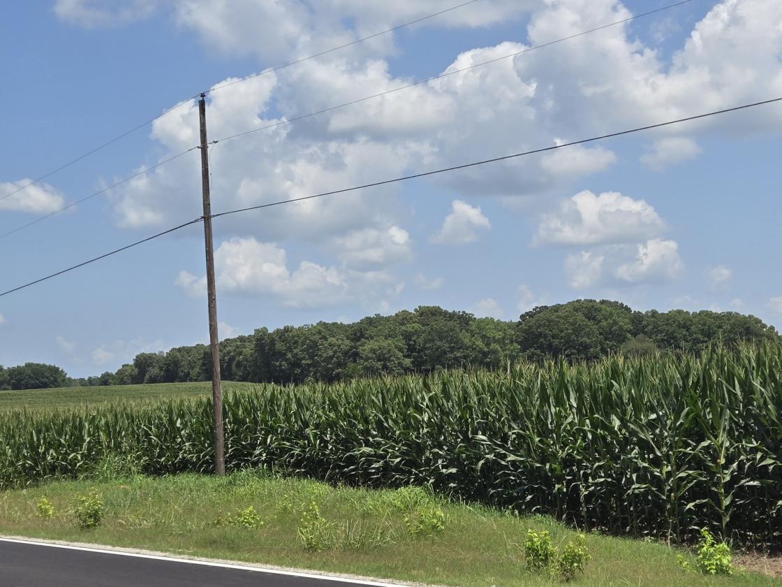 95 acre Farm and Two Houses - photo 4
