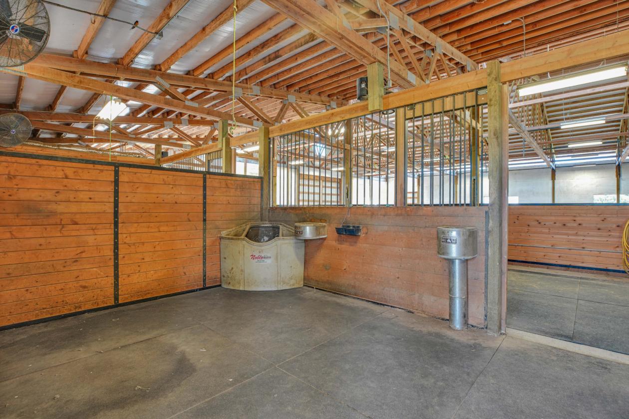 Close-In Horse Property with indoor riding arena - photo 6
