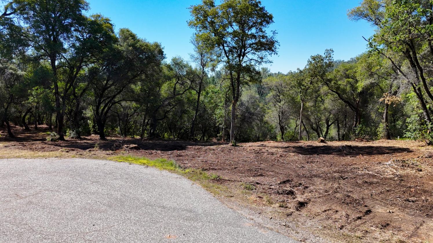 Your 5 Acre Sanctuary in Equestrian Community - photo 12