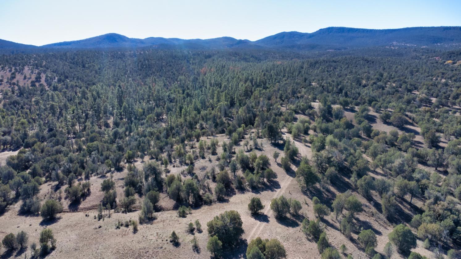 River Ranch - Young, AZ - 159± Acres - photo 14