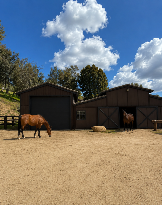 Recently Renovated Horse Ranch Estate For Rent - photo 28