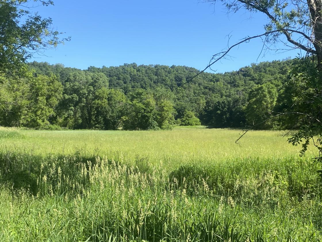 Deep River Farm - photo 1