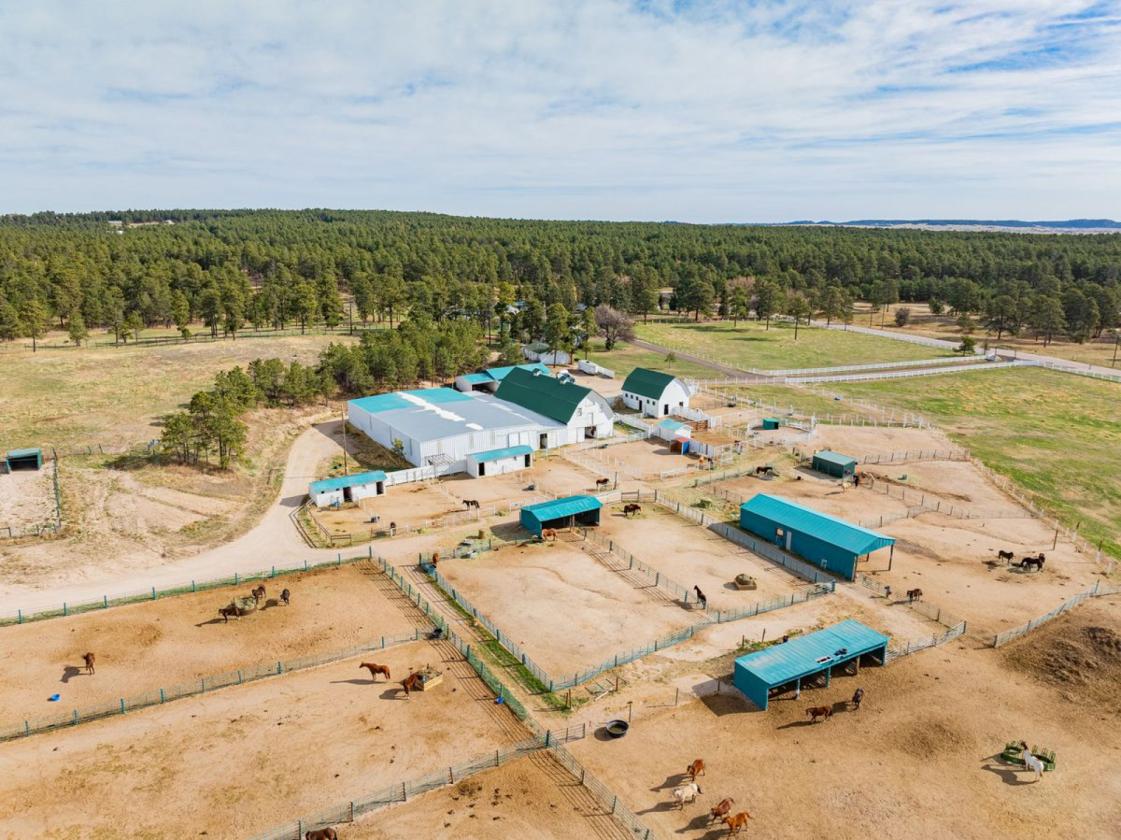 Historic Pine Run Ranch in Black Forest on 60AC - photo 3