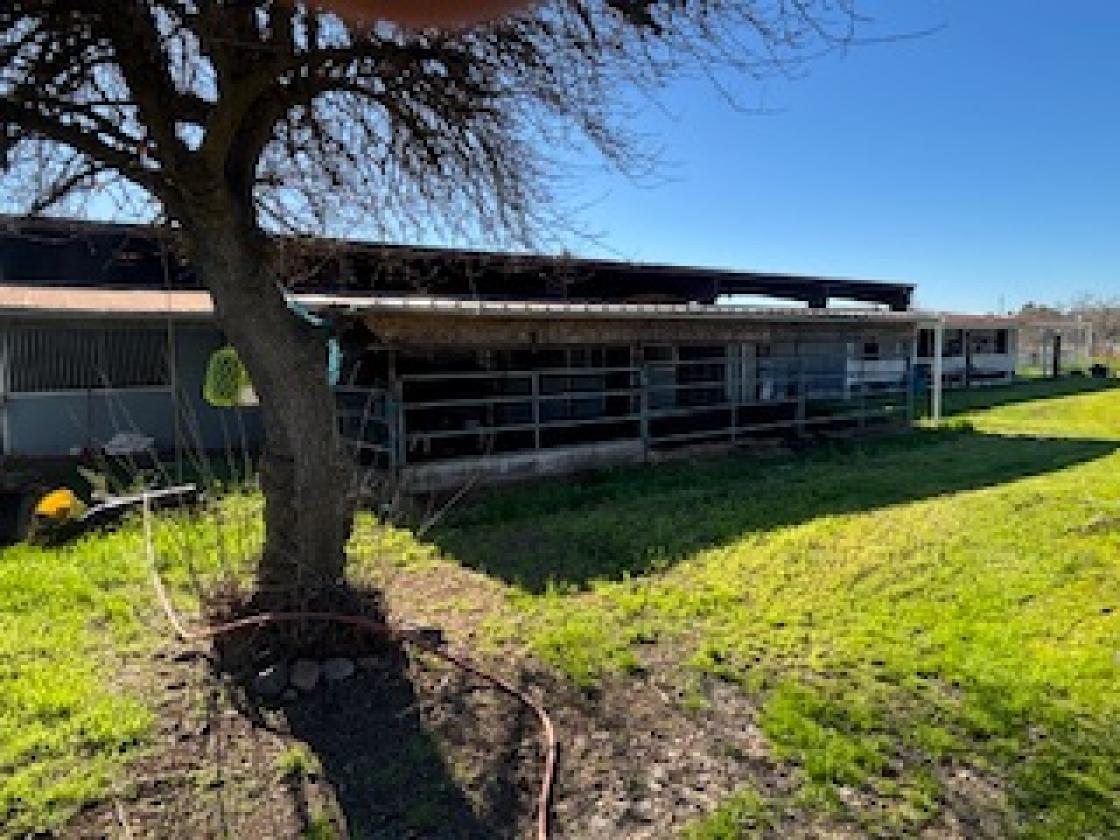 Exceptional Equestrian Breeding &Boarding Facility - photo 4