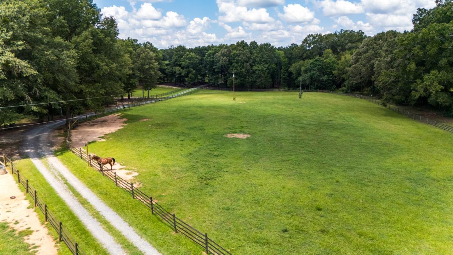 Equestrian Farm with 2 homes and stocked pond - photo 22