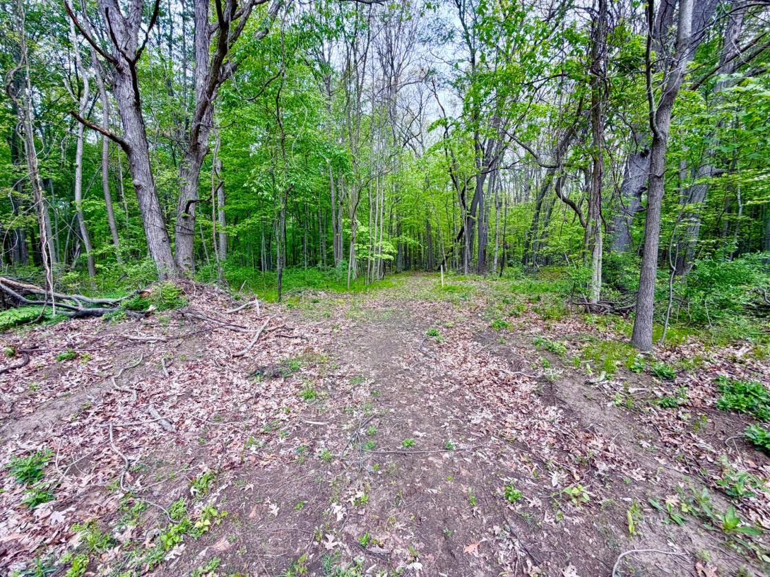 60Acres Equestrian Land with Scenic Trails - photo 23