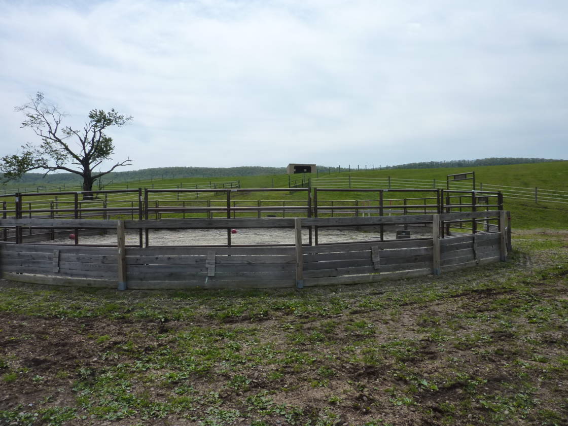 15.55 Acre Horse Farm in Halifax, PA Halifax, Dauphin County