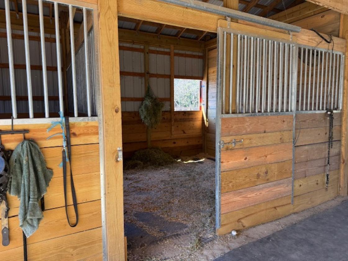1845 Farmhouse & Exceptional Equestrian Amenities - photo 10