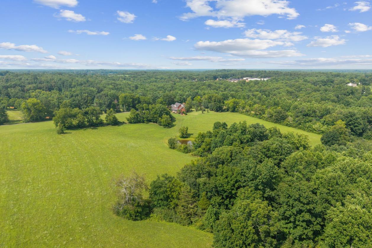 43+ Gorgeous Acres, Pond & Home in Leipers Fork - photo 13