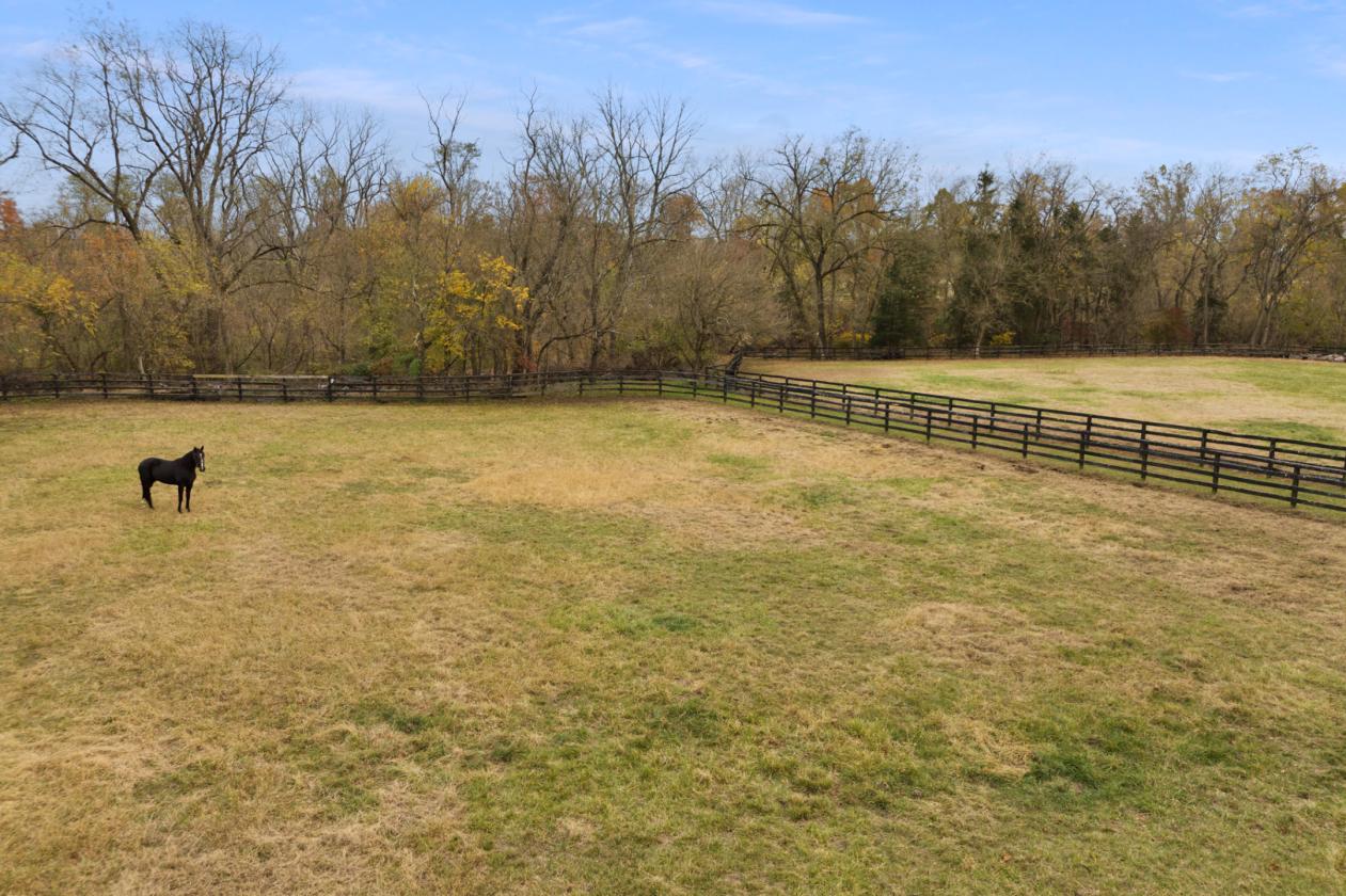 17+ PICTURESQUE ACRES WITH 2 BARNS & HOUSE - photo 8