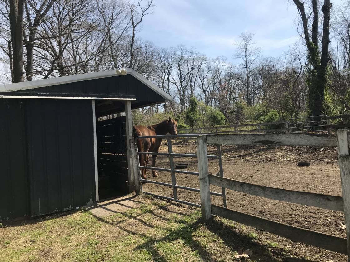 Horse farm that sits on the Allentown Lake Allentown, Monmouth County
