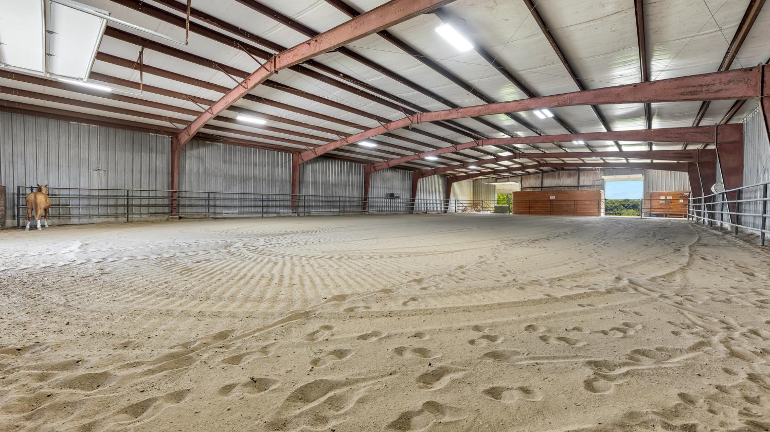 The Ultimate Equestrian Business Opportunity - photo 13