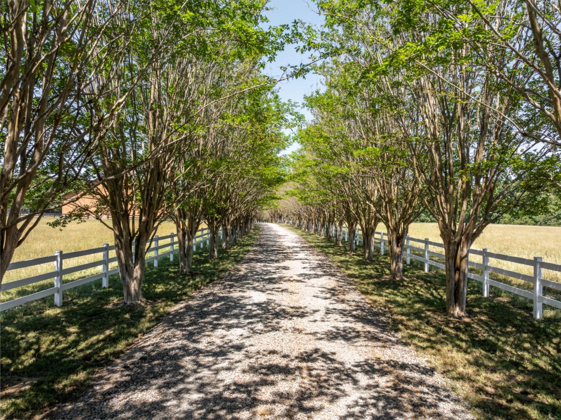 Stunning sunsets and unmatched amenities - photo 3