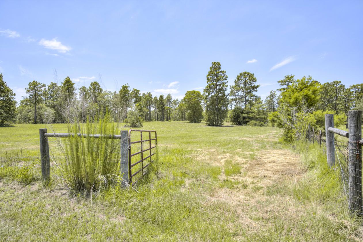 21.65 flat acres with large home and paddocks - photo 4