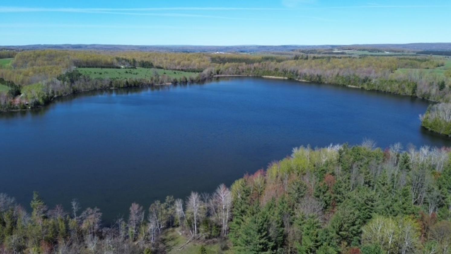 180 ACRE EQUESTRIAN ESTATE WITH PRIVATE LAKE! - photo 15