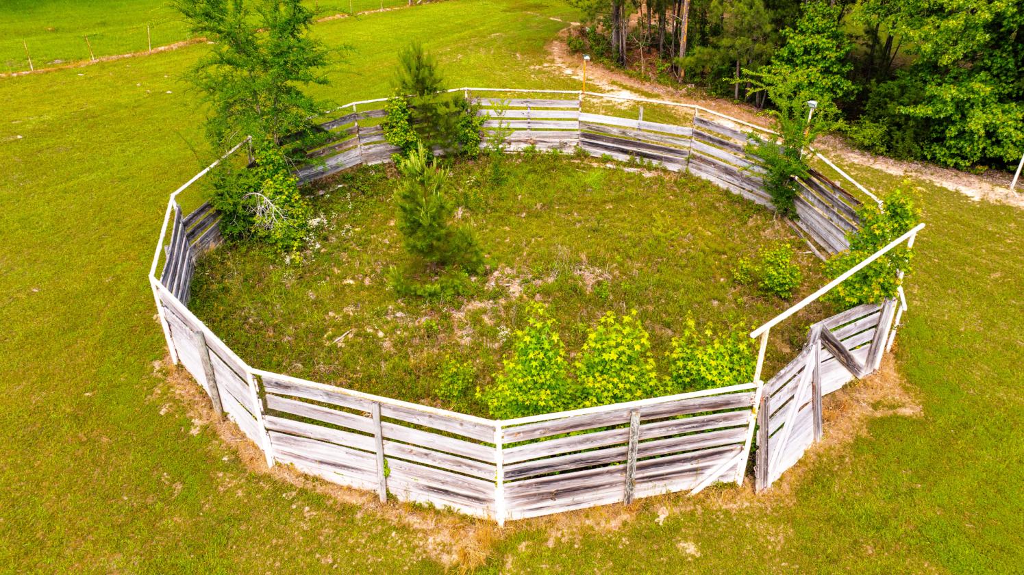 Beautiful Equestrian Ranch - photo 27