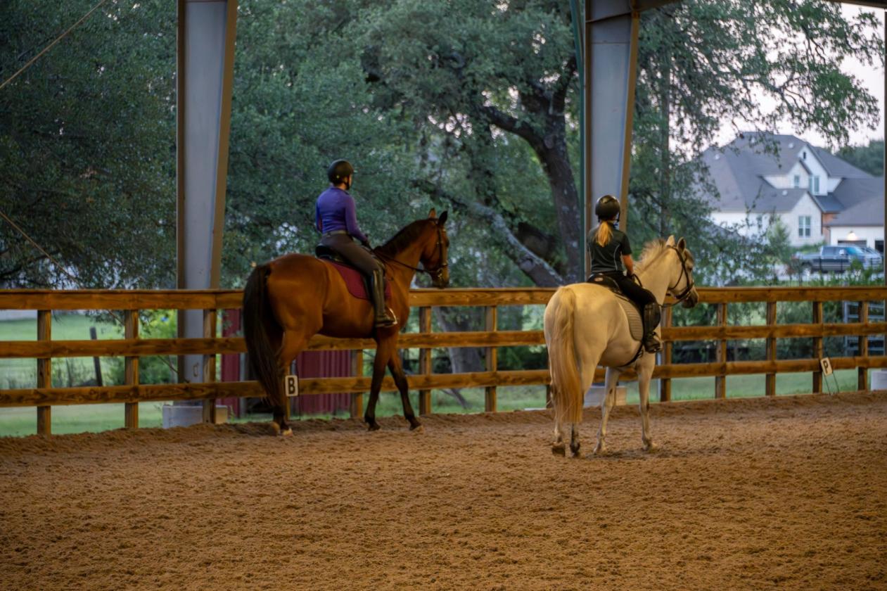 Dancing Oaks Equestrian Ranch - photo 6