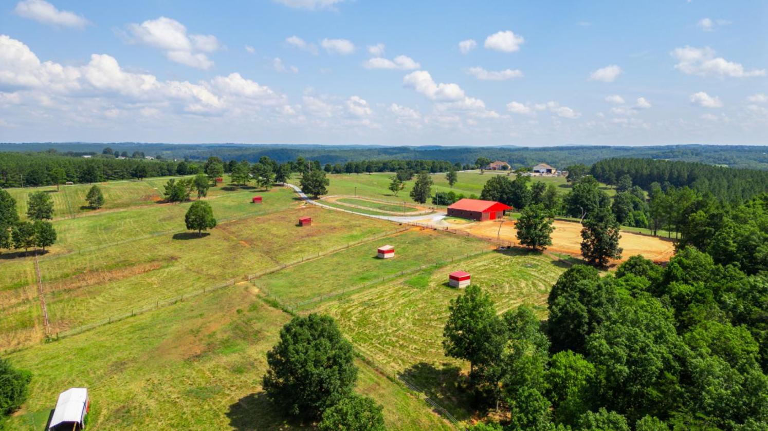 Where Equestrian Dreams Meet Reality - photo 15