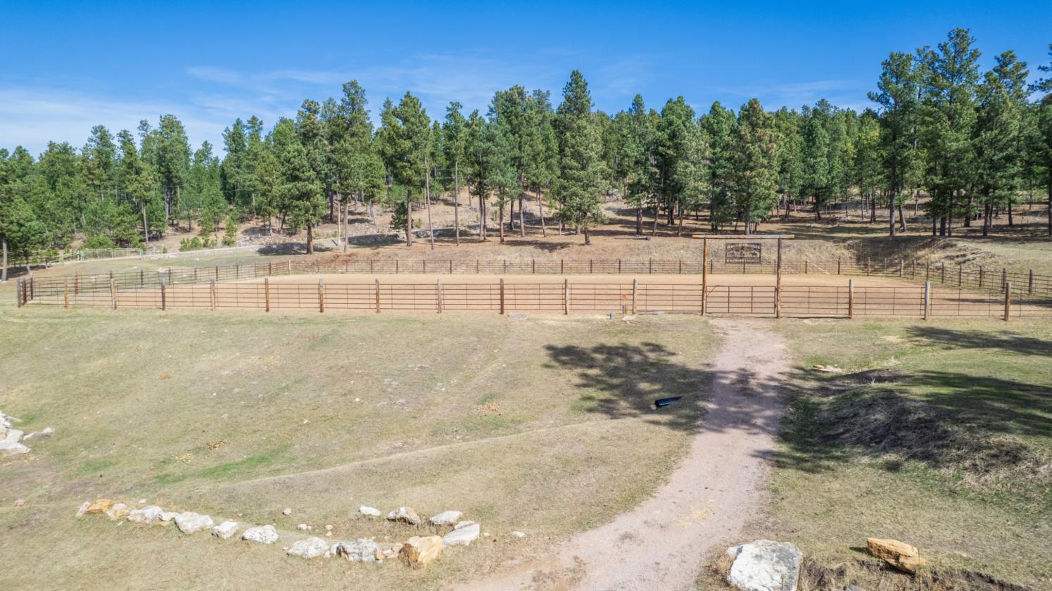 CALLING ALL HORSE LOVERS! - photo 26