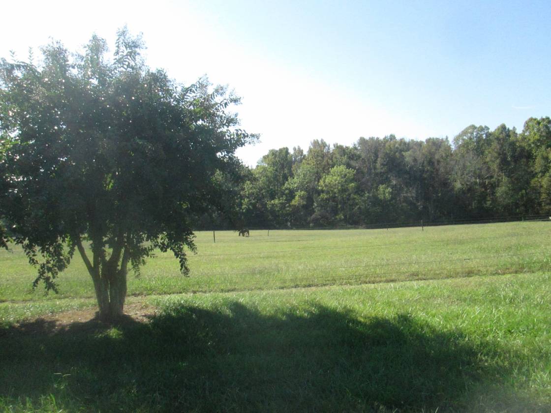 Horse Farm with potential development - photo 17