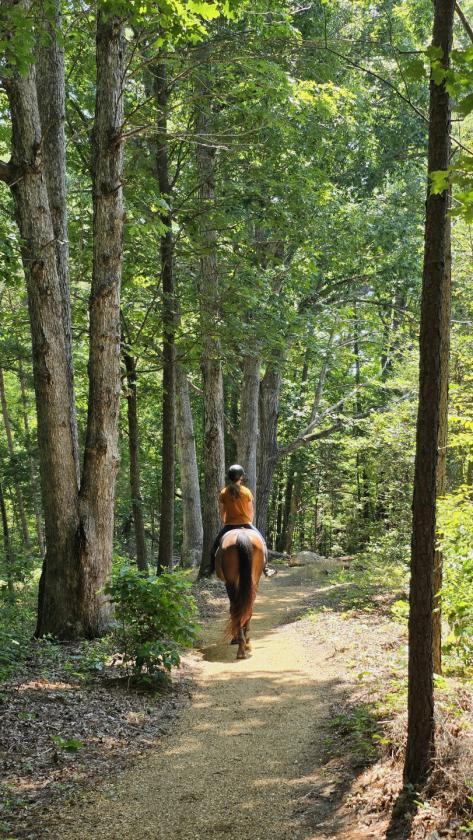 Southside Virginia Horse Farm - photo 18