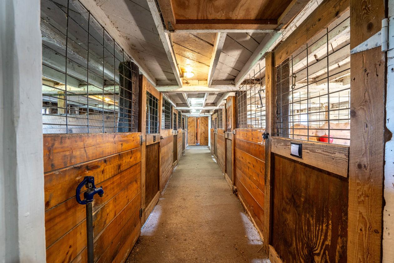 Equine Boarding and Training Facility - photo 10