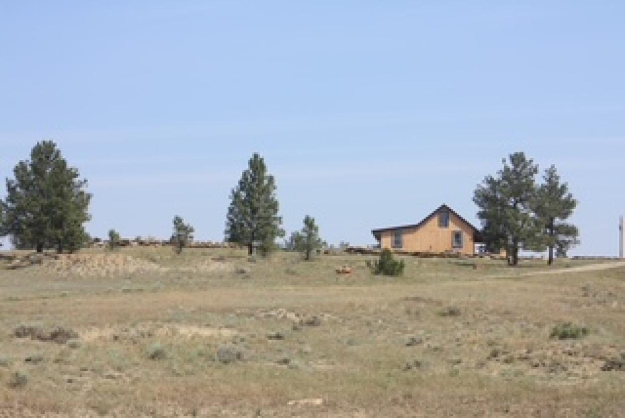 Piece of Heaven on 75 Acres - photo 13