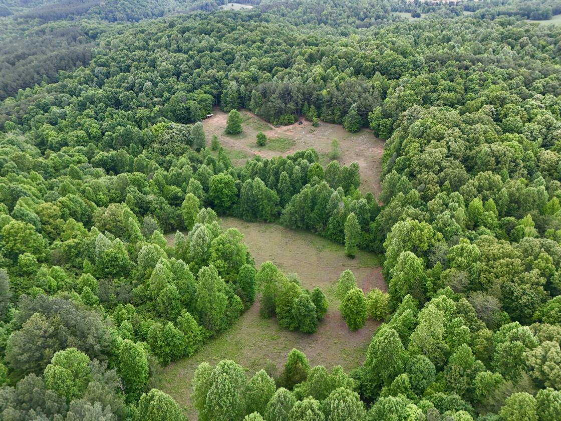 Custom Home On 271.28 Acres - photo 5