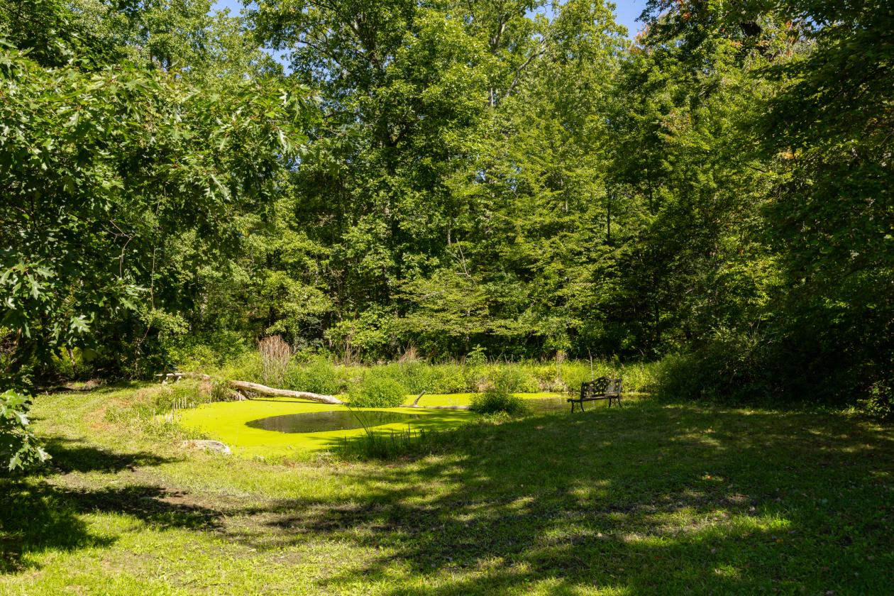 Impeccably kept horse property w/central location - photo 30