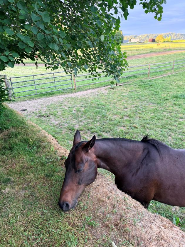 Heron Hill Farm - photo 29