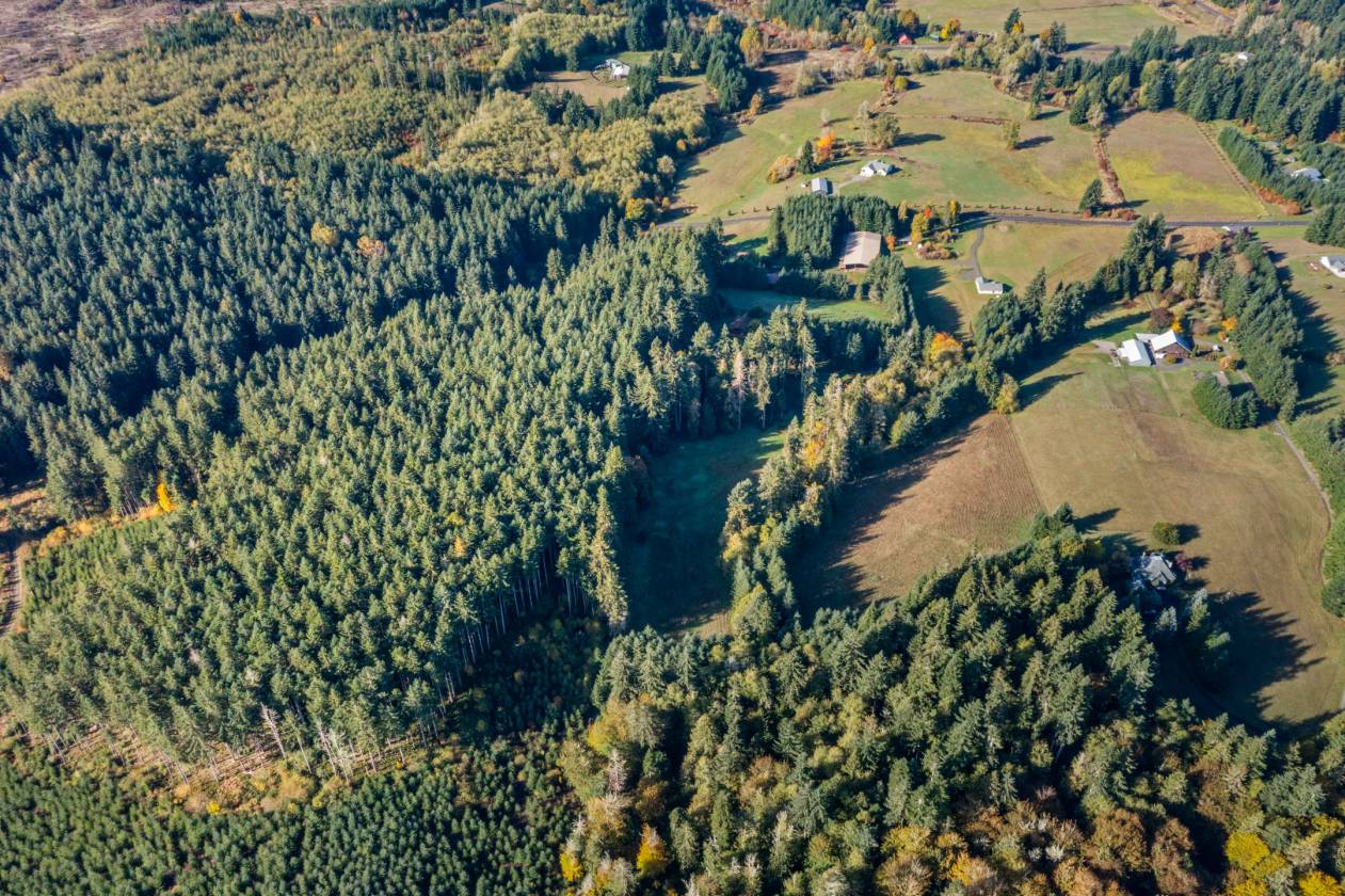 INDOOR ARENA - 35 ACRES - LOG HOME - photo 3