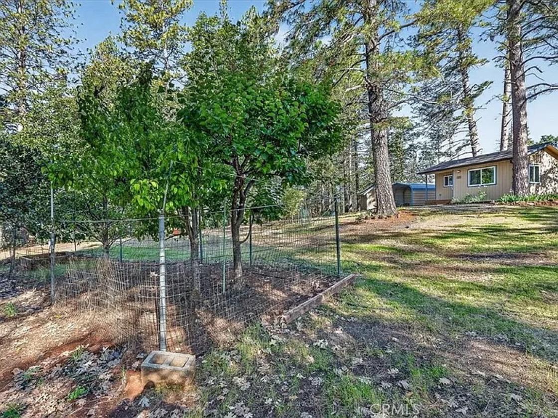 2 houses & horse stables on 6.4 acres zone 9 - photo 6