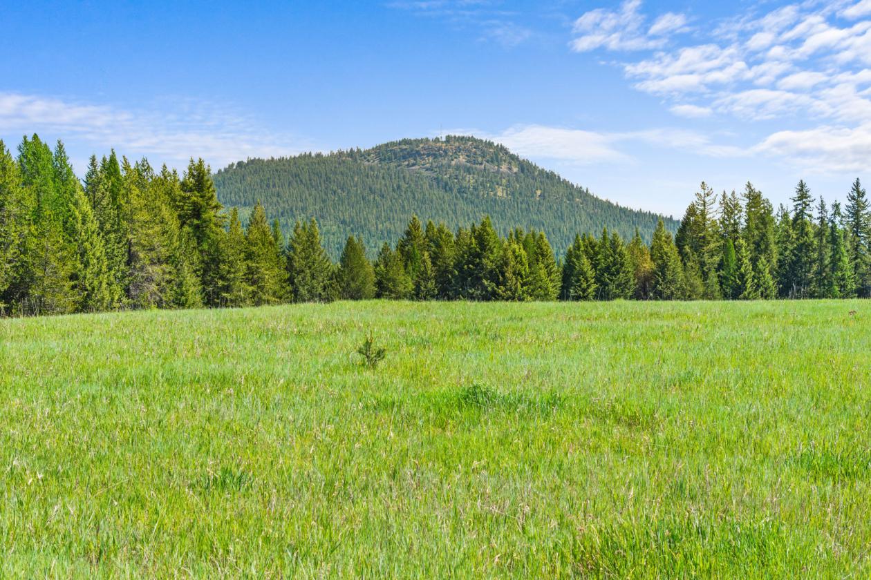 Level 20.65 acres w/Creek, Pasture & Woods - photo 11