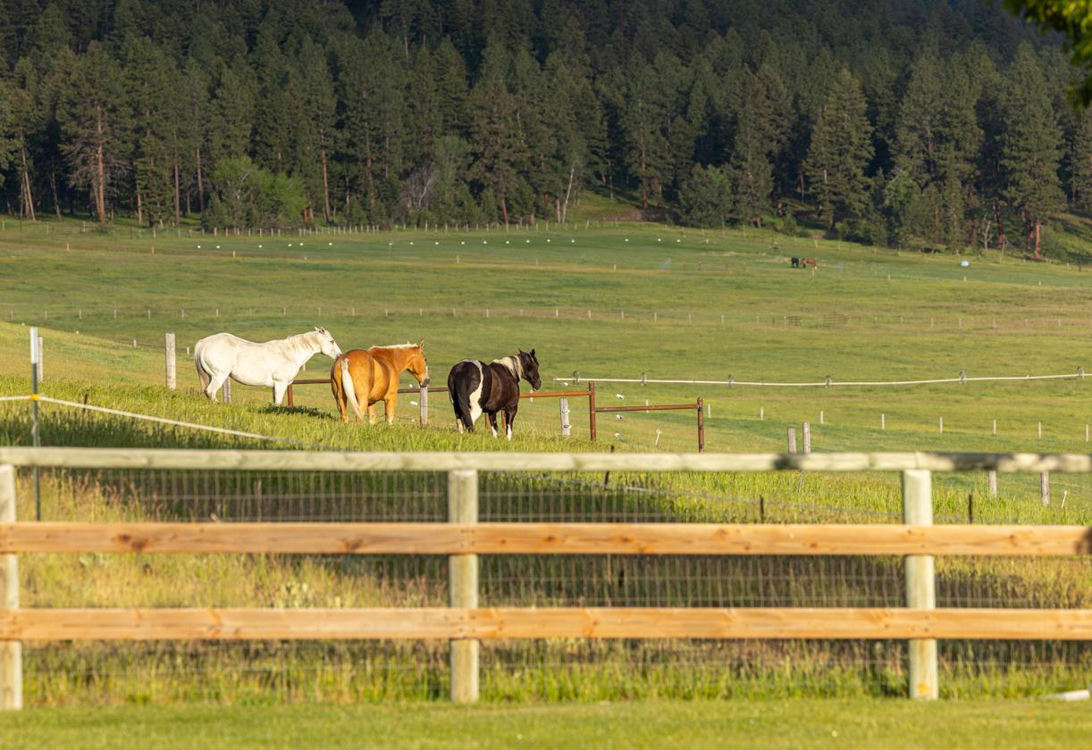 Two Feathers Ranch - photo 22